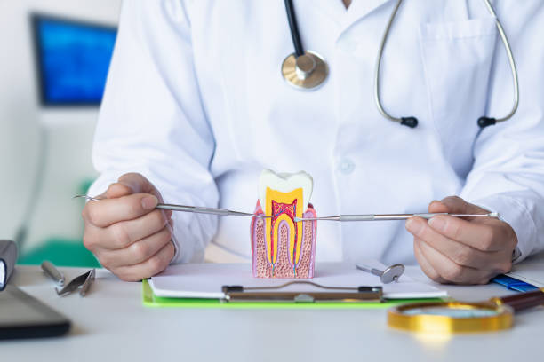 Best Emergency Dental Care for Broken or Chipped Teeth in Northbrook, OH